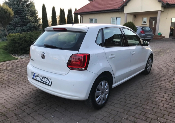 Volkswagen Polo cena 22900 przebieg: 152150, rok produkcji 2010 z Pułtusk małe 92